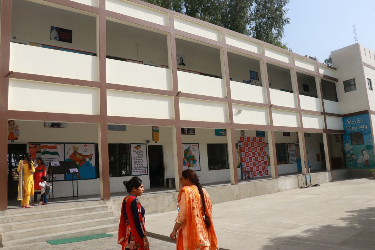 School Garden